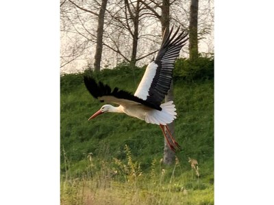 Holiday apartment The Dunes 203 - Environment photo 16