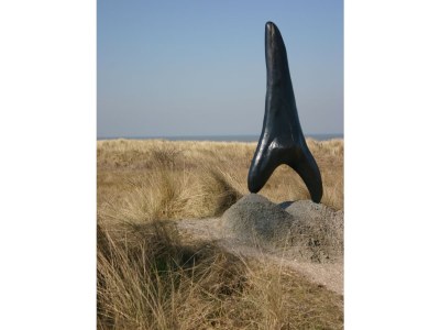 Apartment Duinhof IV-2 - Environment photo 10