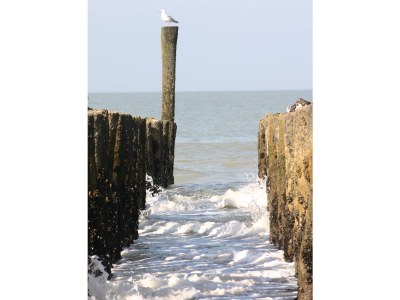 Apartment Duinhof VIII C003 - Environment photo 11