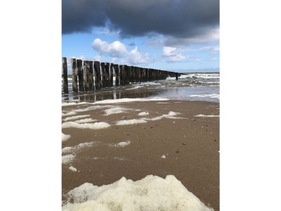 Apartment Duinhof VIII C003 - Environment photo 17