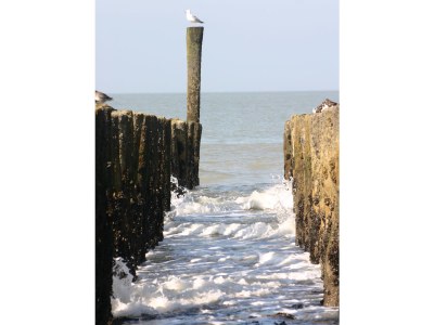 Apartment Duinhof IX E204 - Environment photo 12