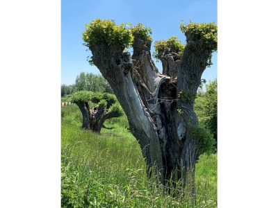 Apartment Strandresidentie A305 - Environment photo 17