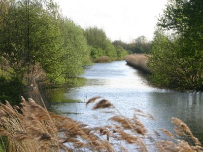 Holiday house Duinzand - Environment photo 20