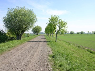 Holiday house Duinzand - Environment photo 21