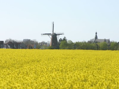 Villa Lagom - Environment photo 12