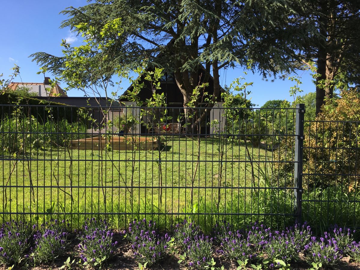 Holiday house Ostseelust - Outdoor photo 5