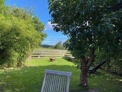 Holiday house Ostseelust - Outdoor photo 4