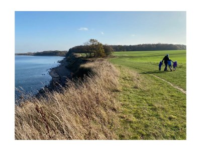 Holiday house Ostseelust - Environment photo 28