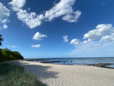 Holiday house Ostseelust - Environment photo 29