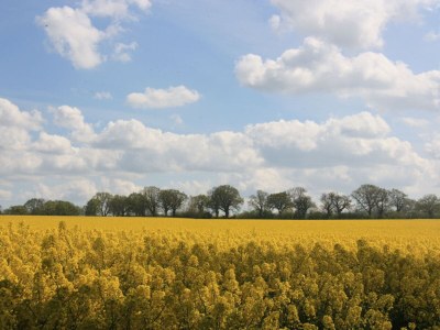 Holiday house Ostseelust - Environment photo 30