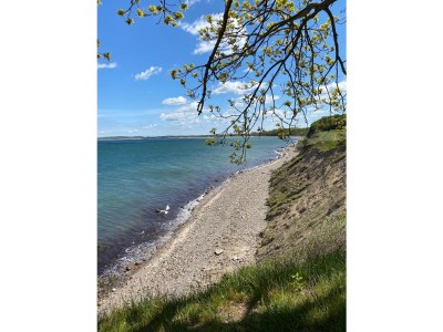 Holiday house Ostseelust - Environment photo 31