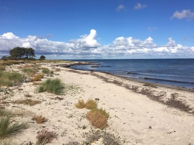 Holiday house Ostseelust - Environment photo 32