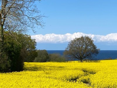 Holiday house Ostseelust - Environment photo 33