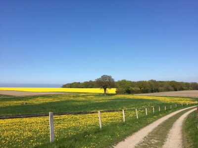 Holiday house Ostseelust - Environment photo 36