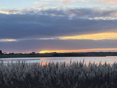 Holiday house Ostseelust - Environment photo 41