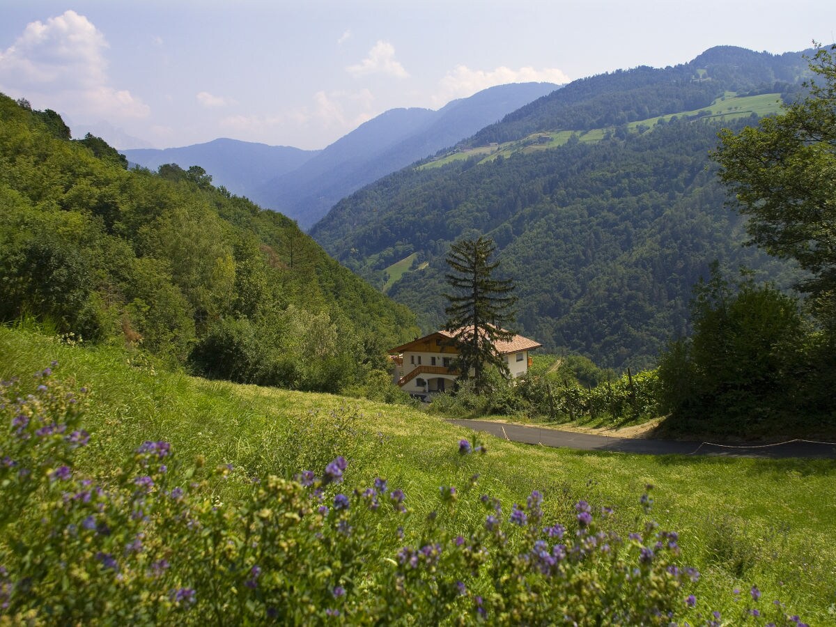 Holiday apartment Prackfolerhof - Outdoor photo 4