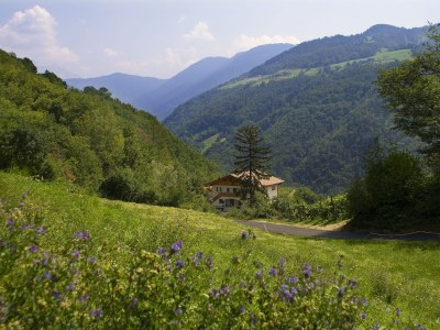 Holiday apartment Prackfolerhof - Outdoor photo 4