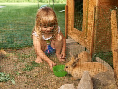 Holiday apartment Prackfolerhof - Outdoor photo 6