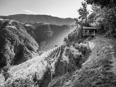 Holiday apartment Prackfolerhof - Outdoor photo 7