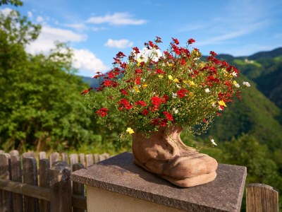 Holiday apartment Prackfolerhof - Outdoor photo 9