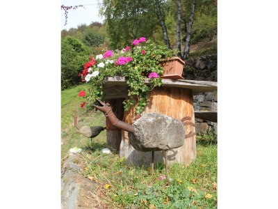 Holiday apartment Prackfolerhof - Outdoor photo 10