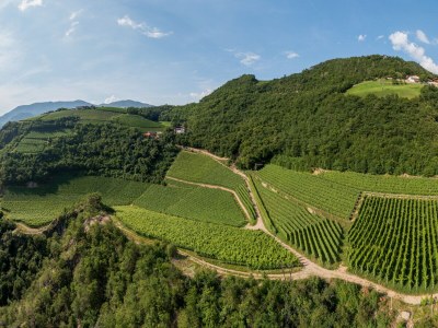 Holiday apartment Prackfolerhof - Outdoor photo 14