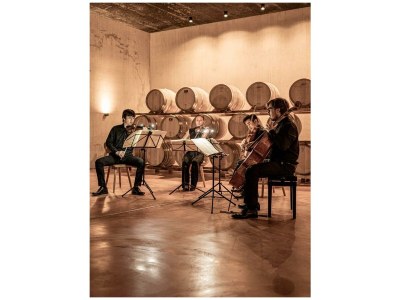 Holiday apartment Prackfolerhof - Outdoor photo 16