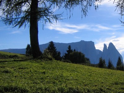 Holiday apartment Prackfolerhof - Environment photo 31