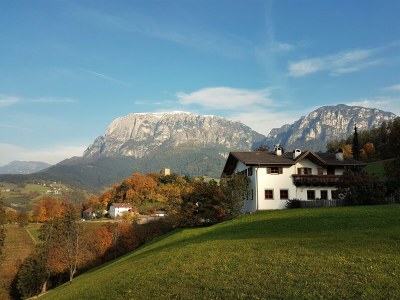 Holiday apartment Prackfolerhof - Environment photo 38