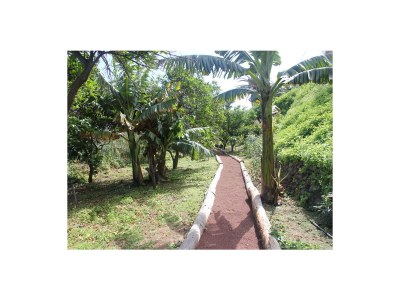 Holiday house Finca La Luna by the Sea - Outdoor photo 8