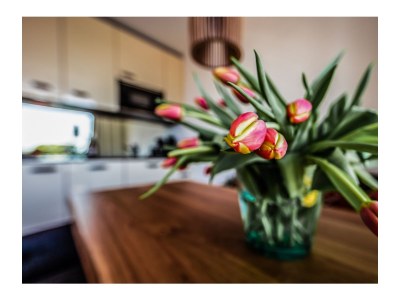 Apartment Boardinghouse Bodensee - Features photo 5