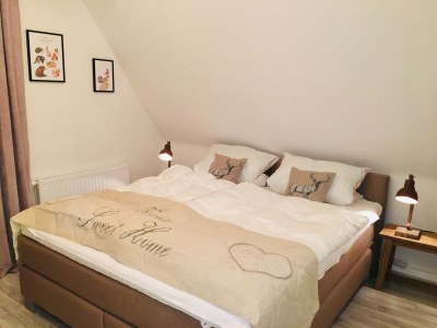 Holiday house Longing for the Harz "Das Haisel" - Features photo 13