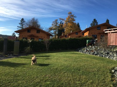 Holiday house Longing for the Harz "Das Haisel" - Document photo 21