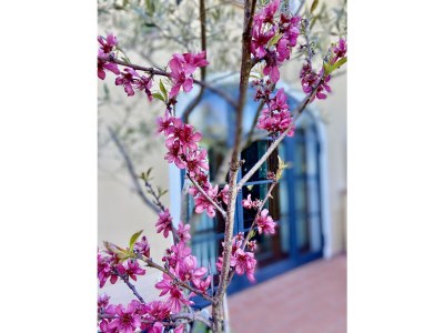 Villa Elvira - Outdoor photo 20