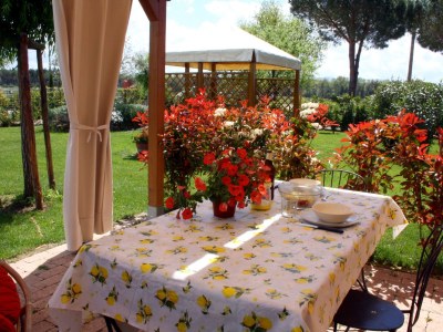 Villa Elvira - Features photo 24