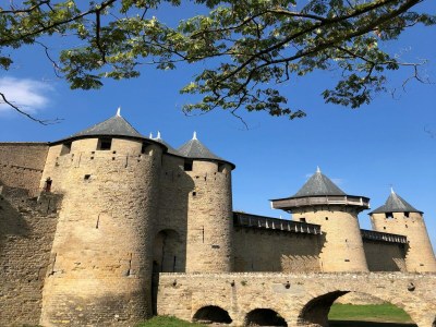 Villa Vineyard Villa Bliss - Environment photo 32