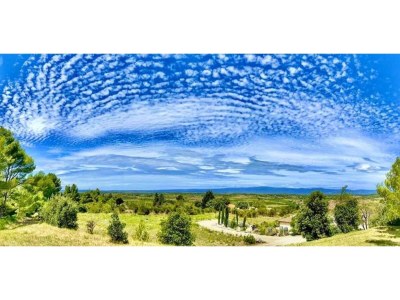 Villa Vineyard Villa Bliss - Outdoor photo 36