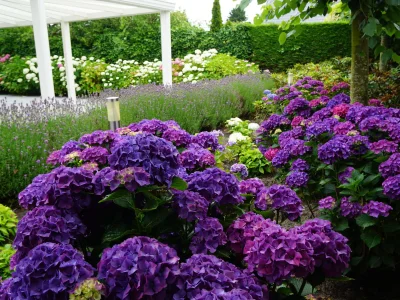 Holiday house Tuinenduin in AW Noordwijk - Holiday house