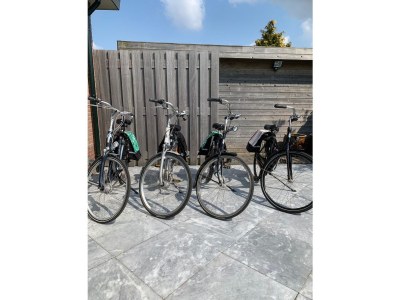 Holiday house Tuinenduin - Features photo 15