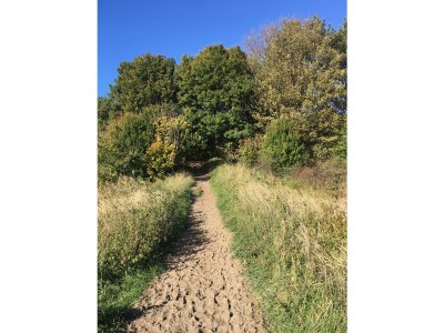 Holiday house Tuinenduin - Environment photo 19