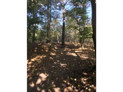 Holiday house Tuinenduin - Environment photo 20