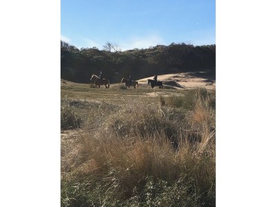 Holiday house Tuinenduin - Environment photo 21