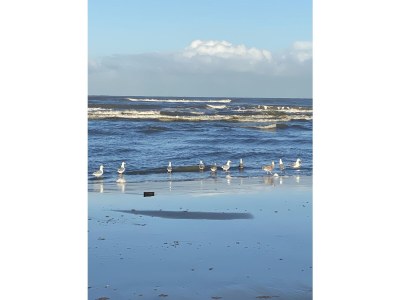 Holiday house Tuinenduin - Environment photo 23