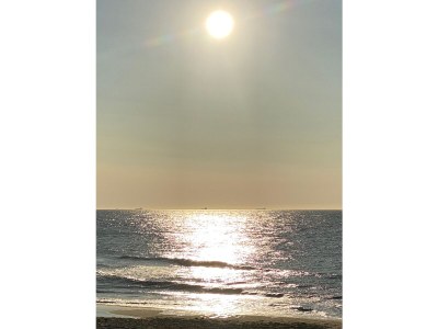 Holiday house Tuinenduin - Environment photo 25