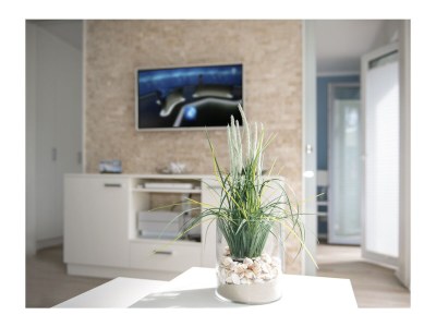 Holiday apartment Holiday residence Sandburg - Features photo 10