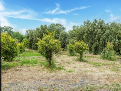 Holiday house Holiday Home near Mount Etna Views - Environment photo 35