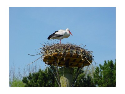 Holiday house Spaanse Galeien 53 - Environment photo 15