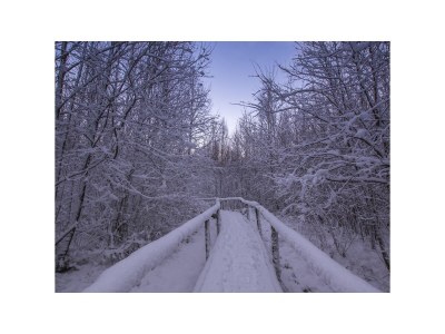 Holiday apartment Wirtz - Environment photo 25