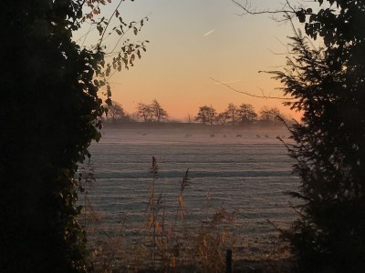 Holiday apartment Welcome to Eden - Outdoor photo 8