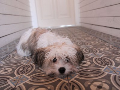 Holiday apartment Welcome to Eden - Features photo 17